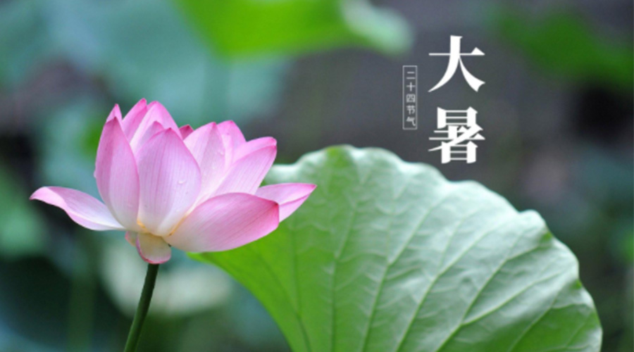 大暑時節(jié)！金環(huán)電器提醒大家注意這些干衣細節(jié)