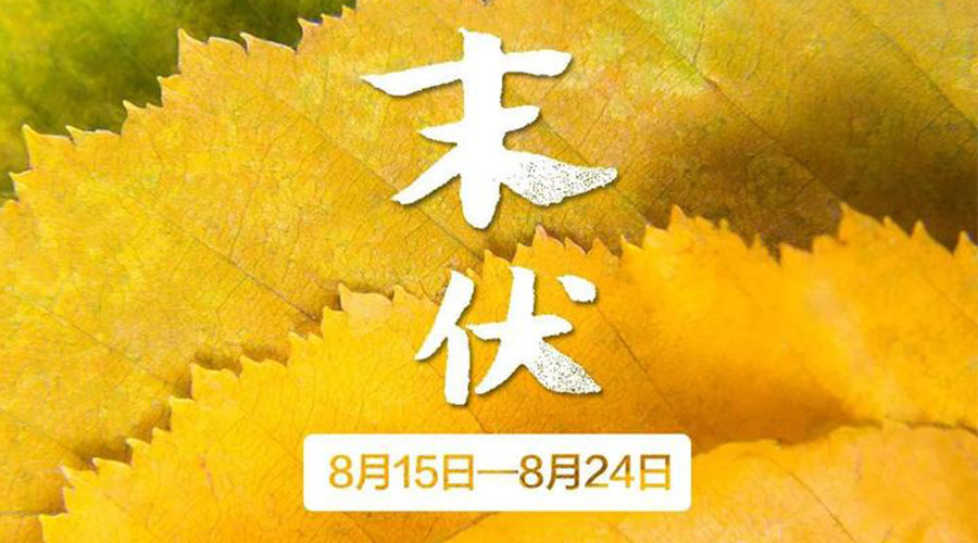 末伏時節(jié)！金環(huán)電器提醒你謹(jǐn)記這些注意事項