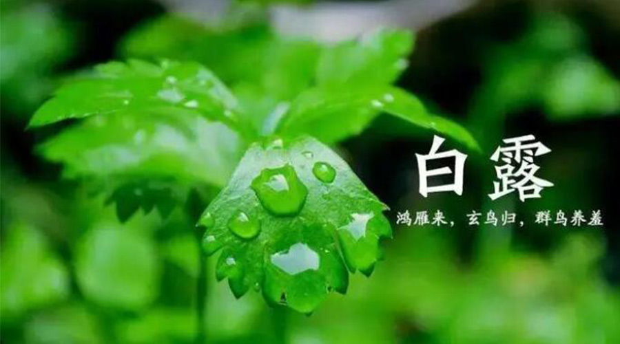 白露時節(jié)！金環(huán)電器提醒大家要注意的事項