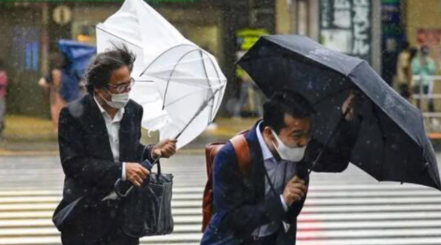 強臺風“梅花”來襲！小型烘干機快速解決內(nèi)衣褲難干問題