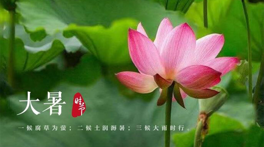 大暑時(shí)節(jié)！金環(huán)電器提醒大家要注意的事項(xiàng)
