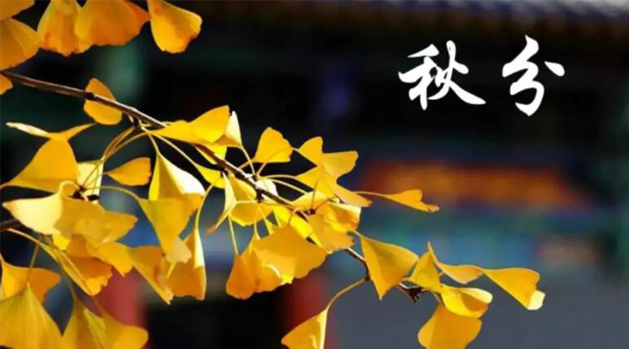 秋分時節(jié)！金環(huán)電器提醒大家要注意的事項