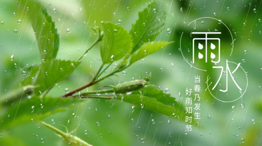 雨水時節(jié)！金環(huán)電器提醒大家要注意的事項